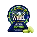 Ferris Wheel
