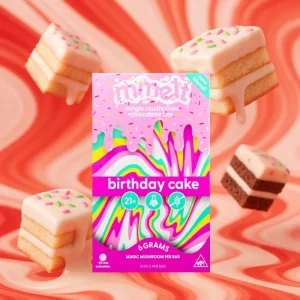 Mmelts | Birthday Cake Mushroom Chocolate Bar | 6G