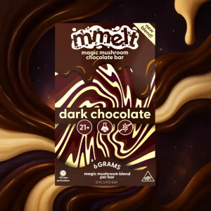 Mmelts | Dark Chocolate Mushroom Chocolate Bar | 6G