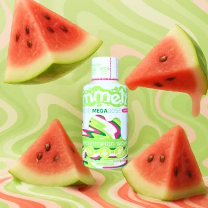 Mmelts | Watermelon Wave Mushroom Shot | 3G